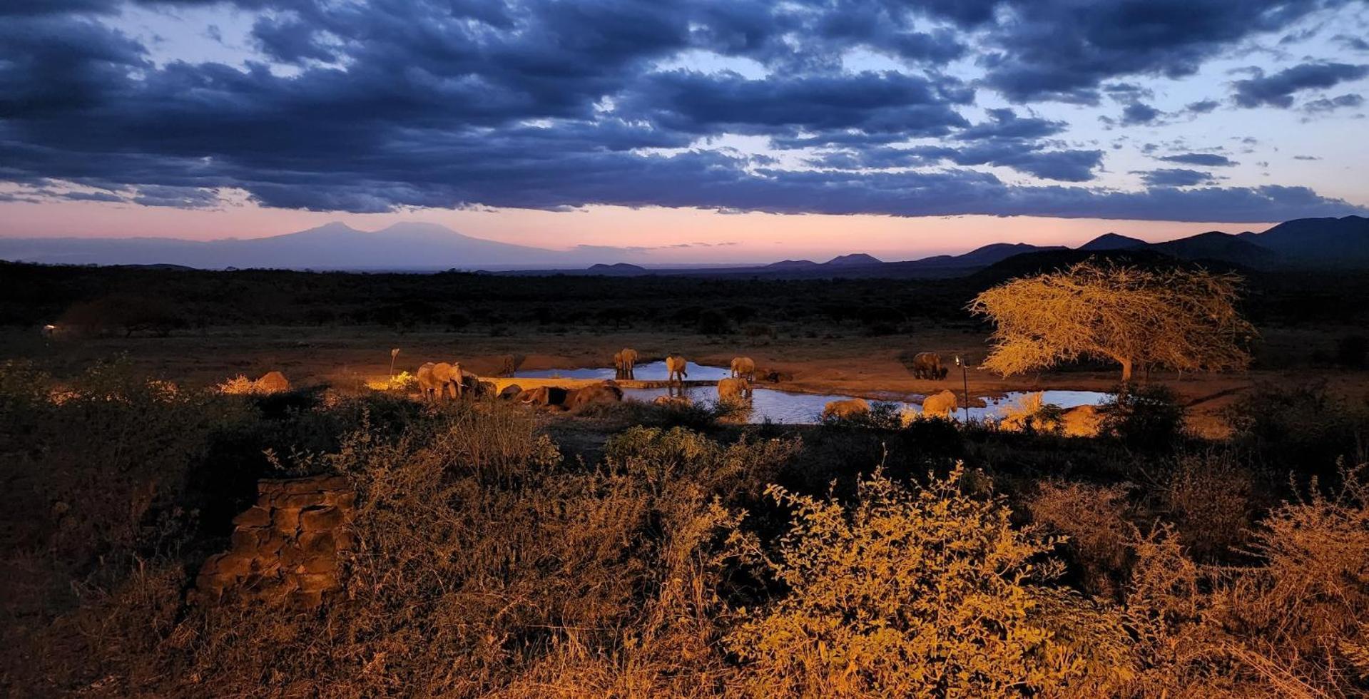 Kilaguni Serena Safari Lodge Tsavo Exterior foto