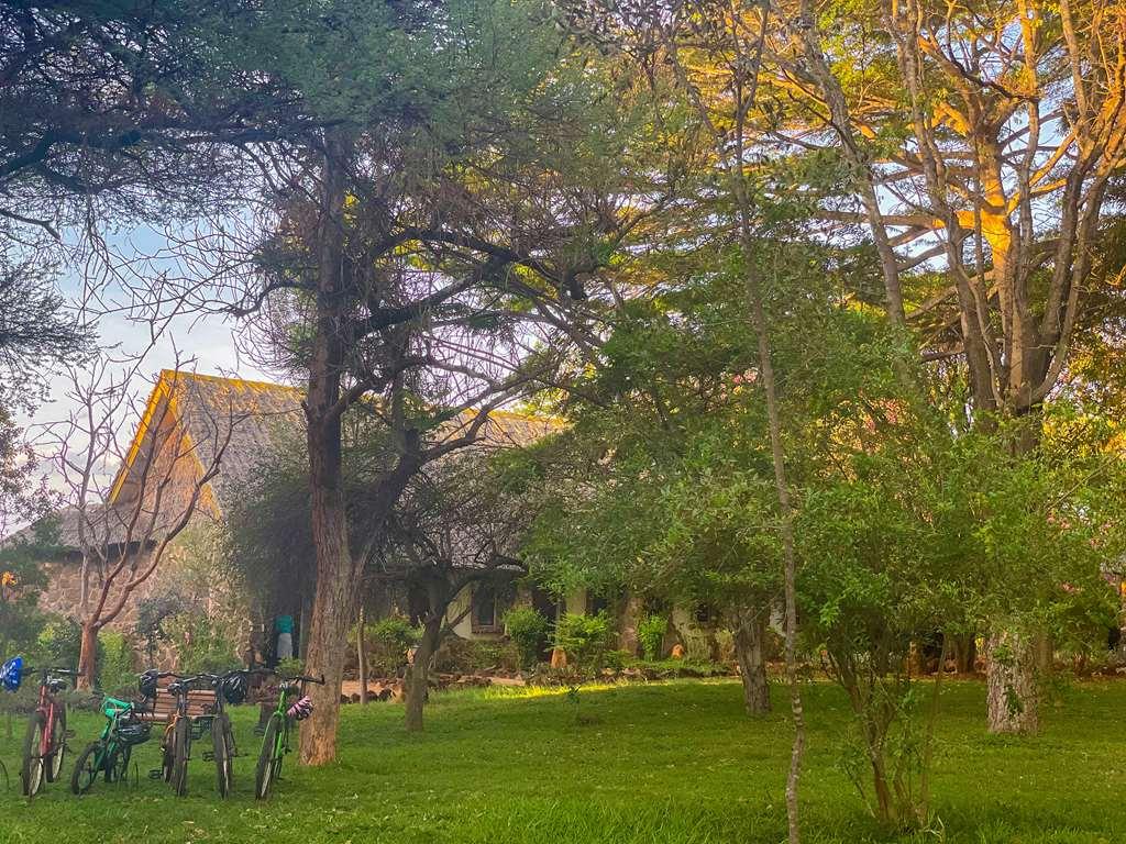 Kilaguni Serena Safari Lodge Tsavo Facilități foto